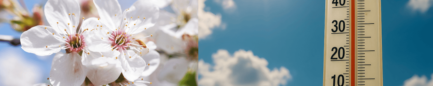 Banner Clima Agrícola