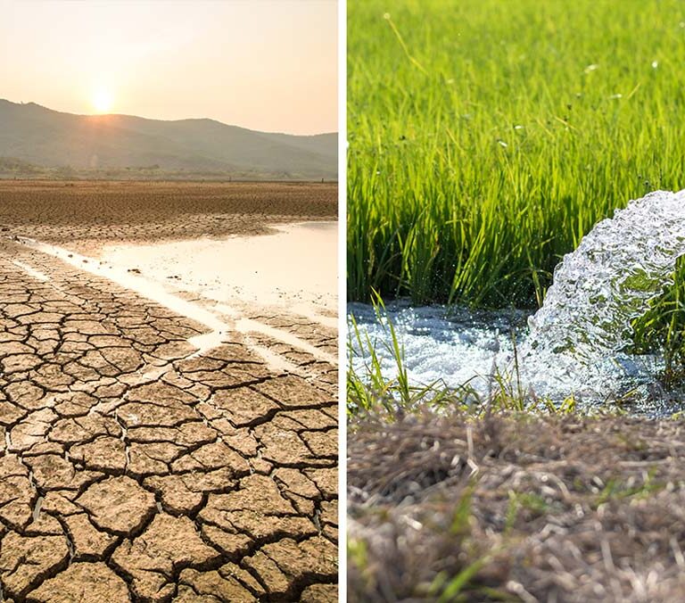 Más de 80% del agua se va en uso agrícola y de la industria