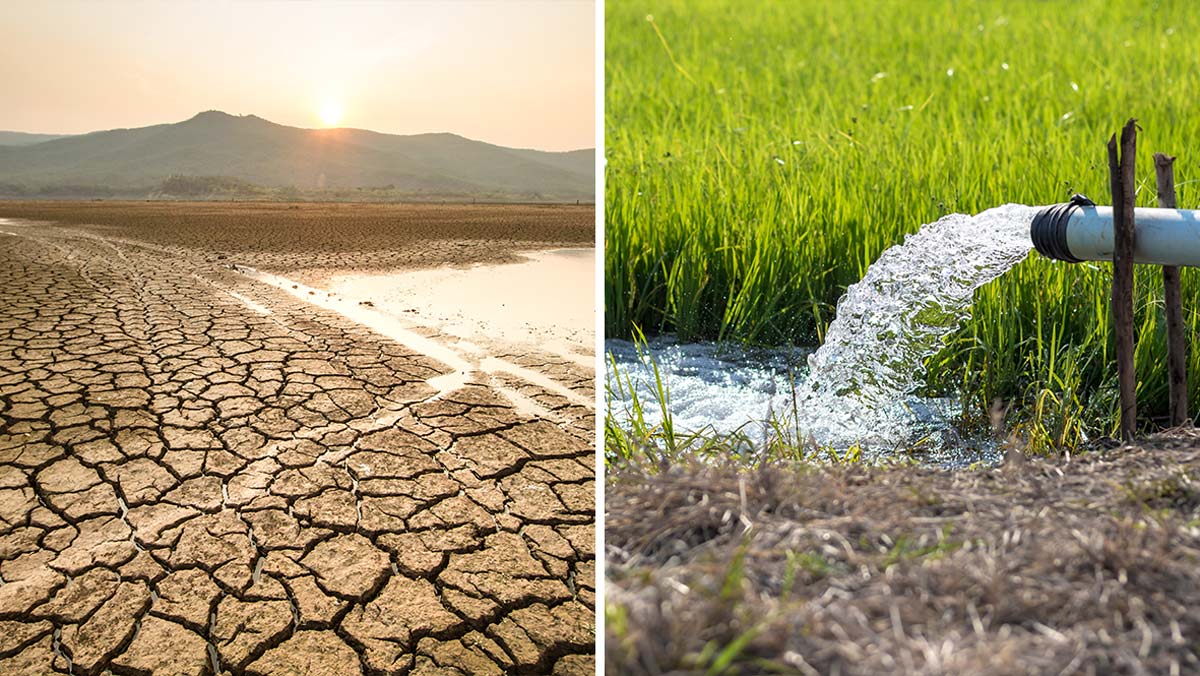 Más de 80% del agua se va en uso agrícola y de la industria